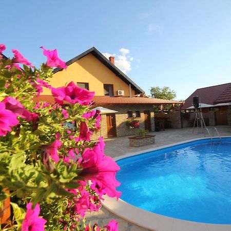 Guest House Vila Alexandar ปาลิช ภายนอก รูปภาพ