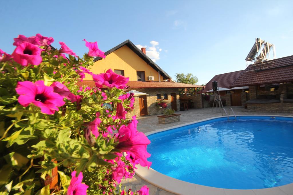 Guest House Vila Alexandar ปาลิช ภายนอก รูปภาพ